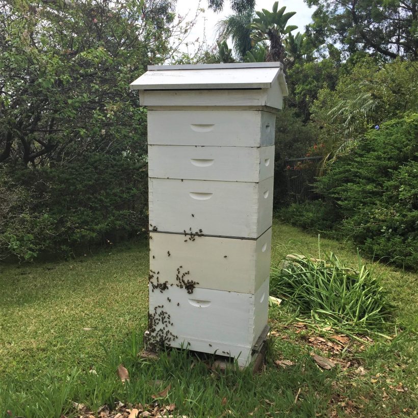 Club Open Field Day – 17th May 2020